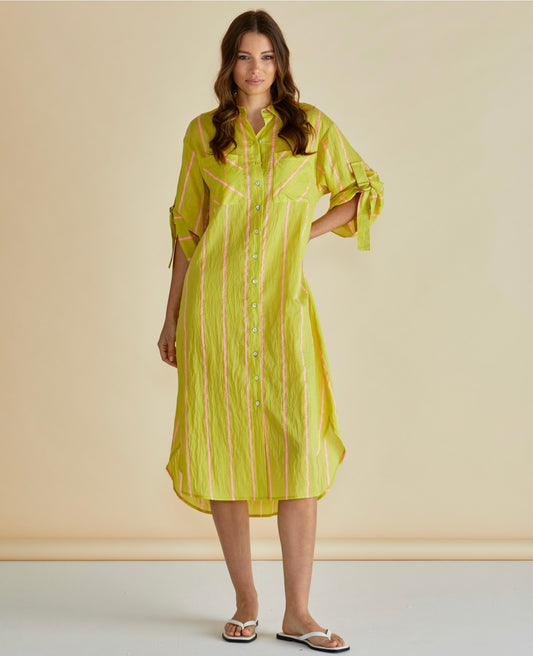 Betty Basics Hayman shirt dress lemon mix  pre order
