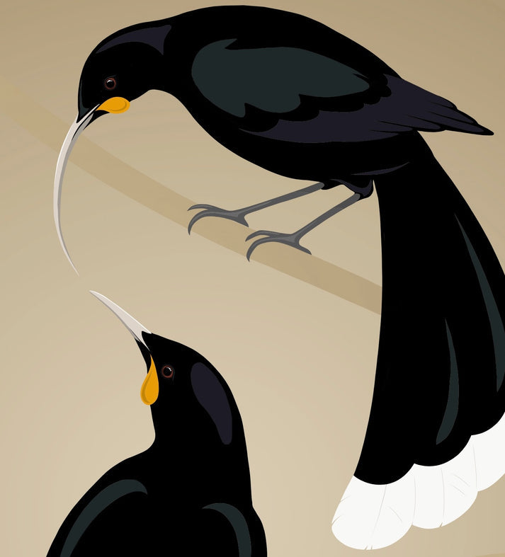 HANSBY DESIGN
Huia pair art print
Regular price $59.00 NZD A4