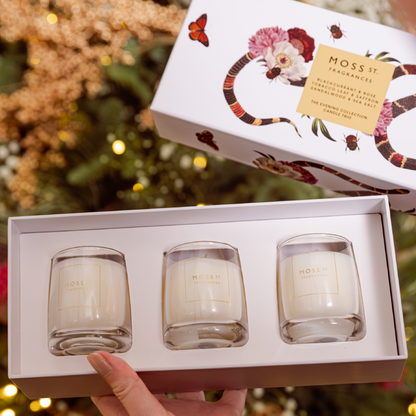 Moss street evening collection  candle trio pre order