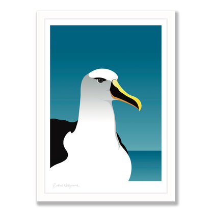 HANSBY DESIGN
Mollymawk Albatross art print
Regular price $59.00 NZD A4