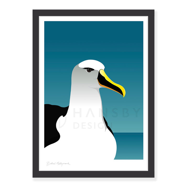 HANSBY DESIGN
Mollymawk Albatross art print
Regular price $59.00 NZD A4