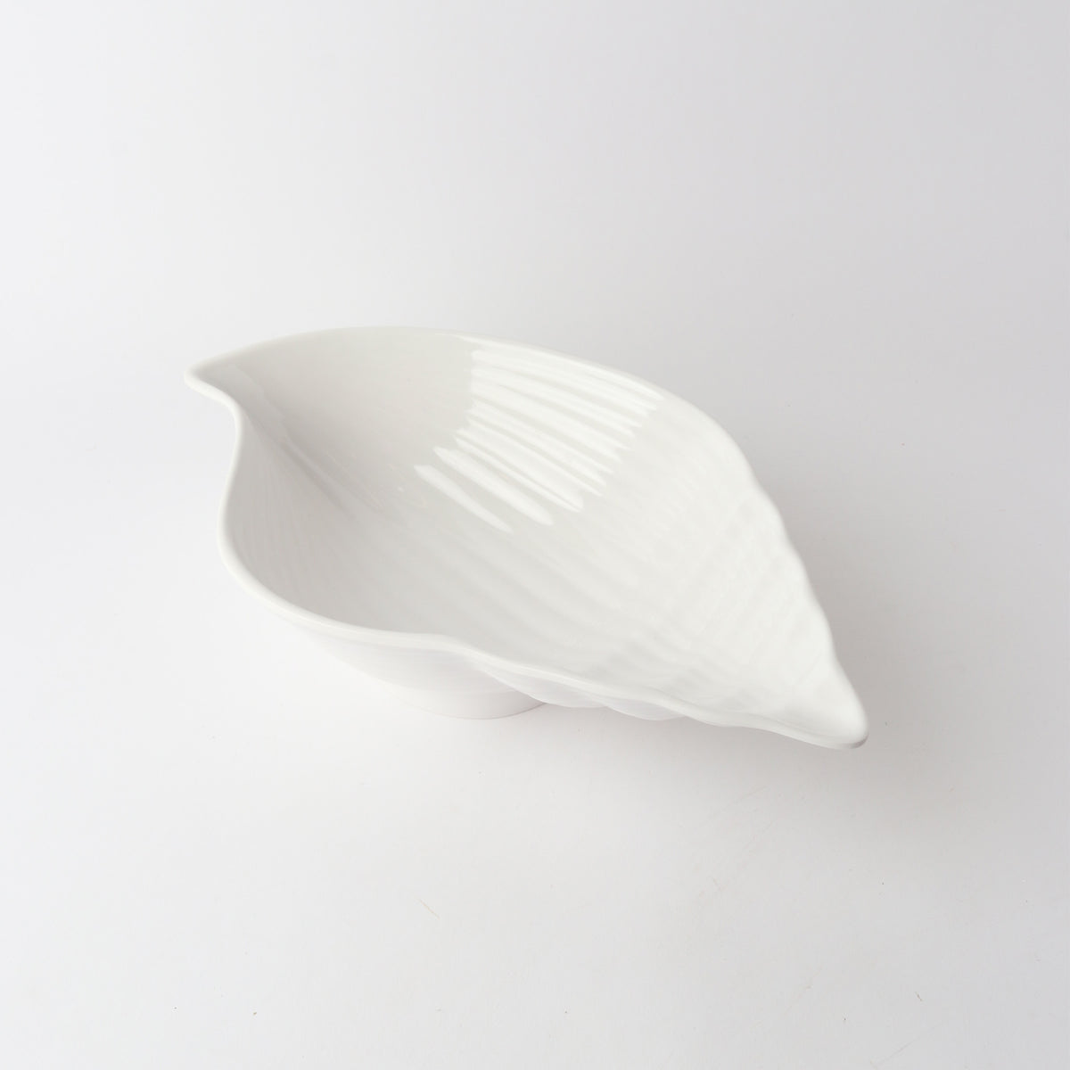 Melamine Conch Shell 40cm