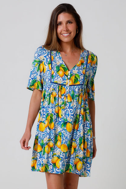 Sophie mini dress dress
