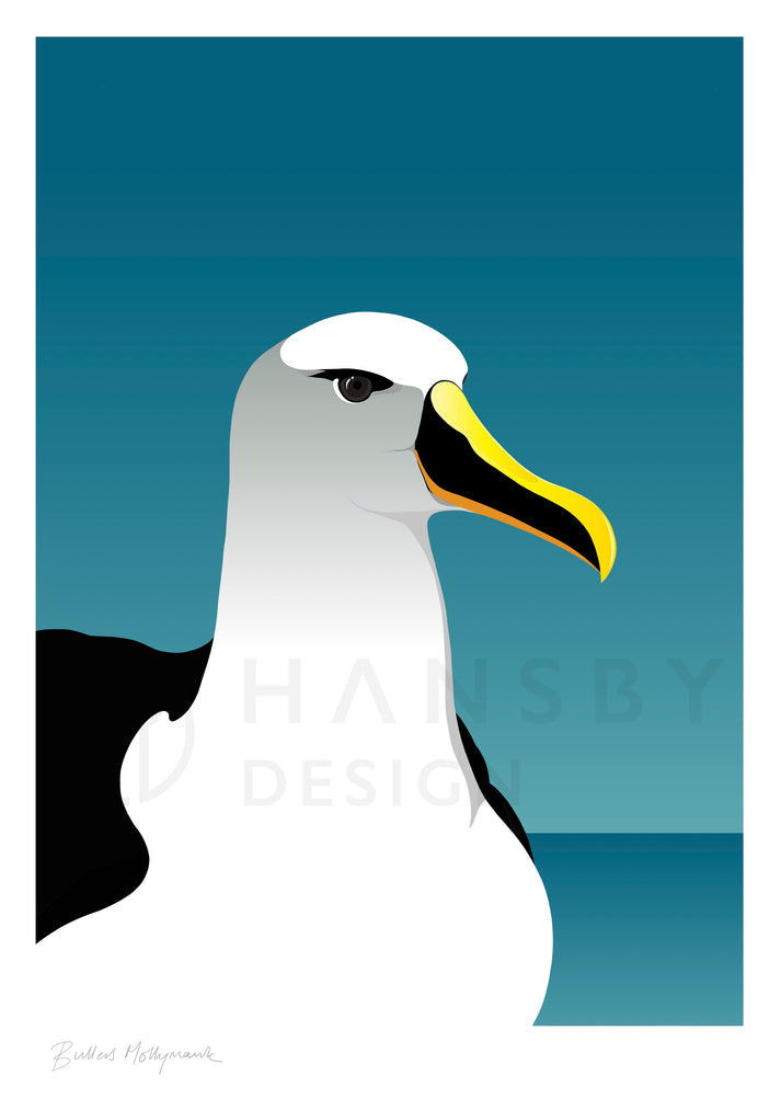 HANSBY DESIGN
Mollymawk Albatross art print
Regular price $59.00 NZD A4